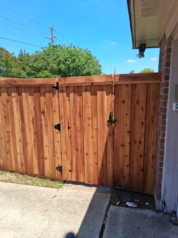 Franky Stain Fence Project